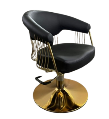 BAYAN KUAFÖR KOLTUĞU