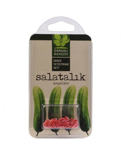 OSMANLI BAHÇESİ ÇENGELKÖY SALATALIĞI YETİŞTİM.SETİ