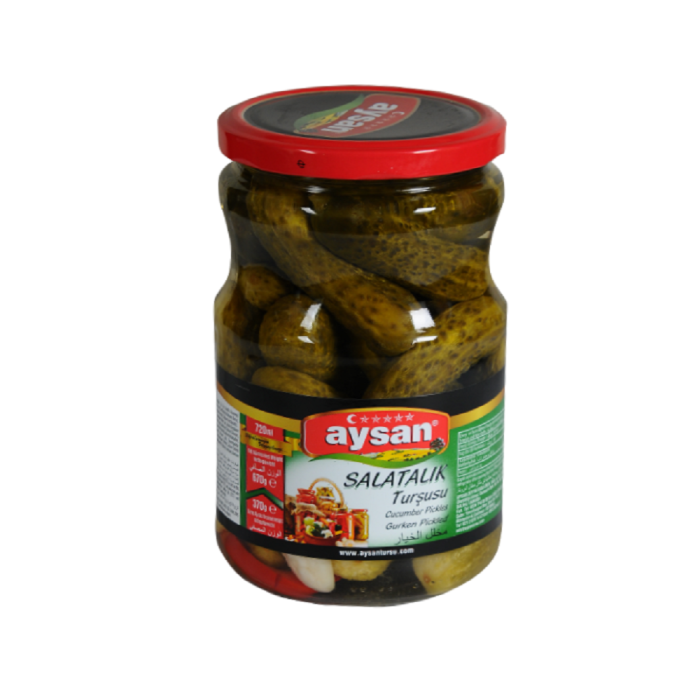 AYSAN 720 GR CAM ÇUBUK  1 NO SALATALIK TURŞUSU