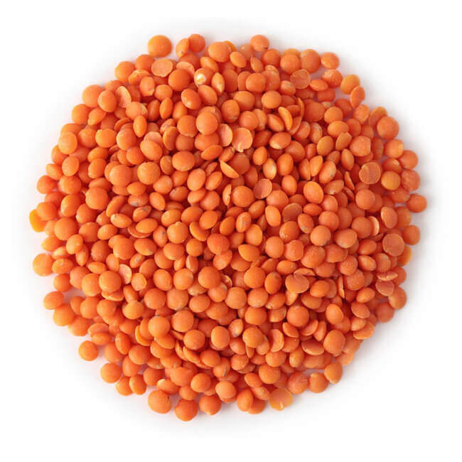 GOLDA KIRMIZI MERCİMEK 25 KG