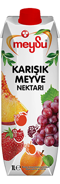 MEYSU KARIŞIK NEKTAR 1/1 