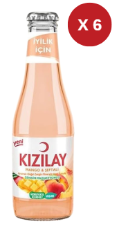 KIZILAY MEYVELİ ŞEFTALİ-MANGO 6 ADET