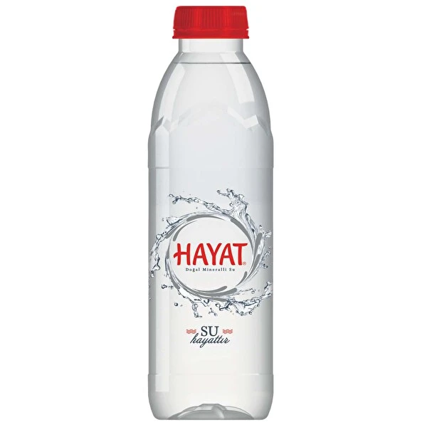 HAYAT SAKARYA 0.33 L PREMİUM