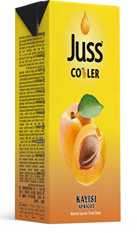 JUSS COOLER KAYISI 200 ML