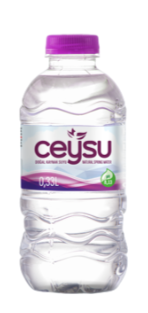 CEYSU PET ŞİŞE 0,33 LT 